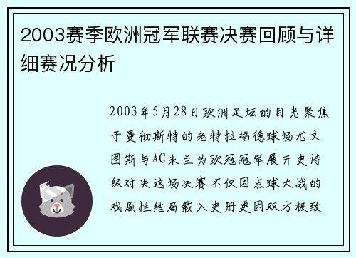 2003赛季欧洲冠军联赛决赛回顾与详细赛况分析