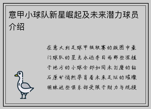 意甲小球队新星崛起及未来潜力球员介绍